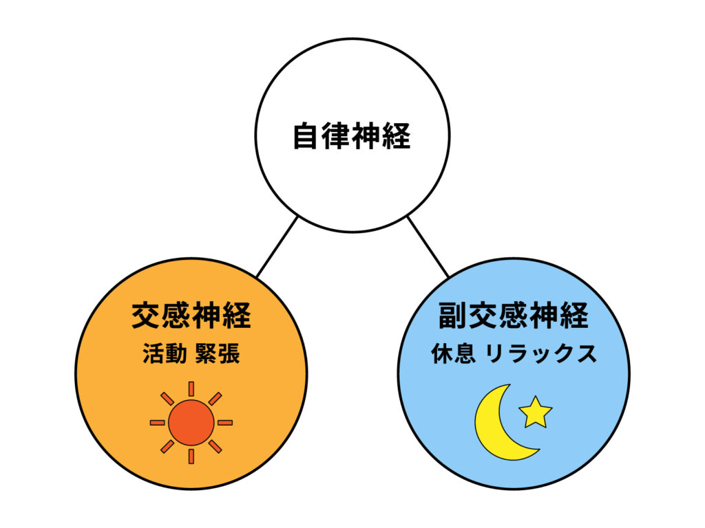 自律神経が乱れる原因とは？