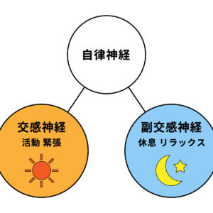 自律神経が乱れる原因とは？